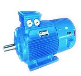 供應大連電機廠YP變頻電機 YP系列變頻電機