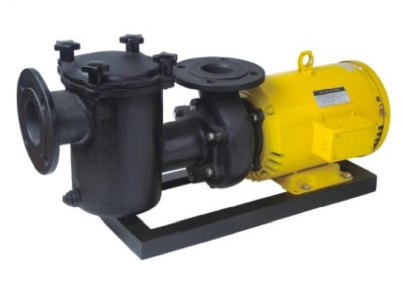 安浦CCPB生鐵泵系列鑄鐵過濾泵泳池過濾水泵溫泉水循環(huán)鑄鐵泵