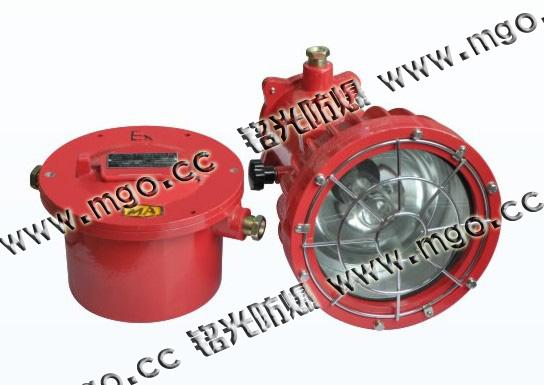 DGS125/127GB礦用隔爆型投光燈圖片