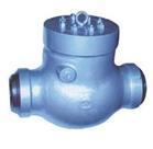 焊接式高壓止回閥圖片