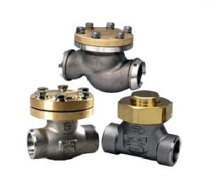 低溫高壓止回閥圖片