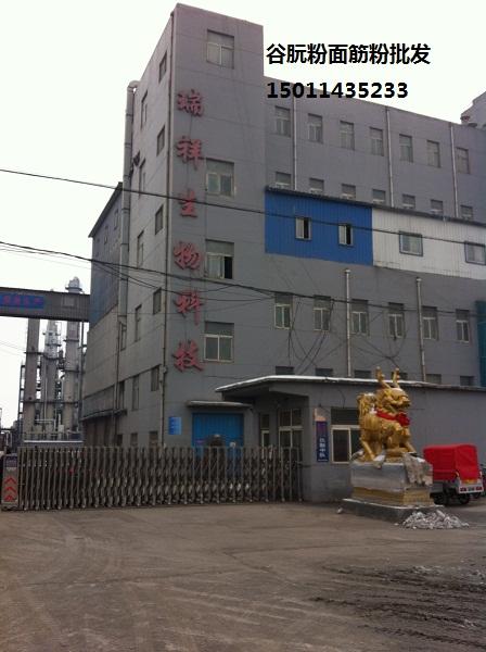 供應(yīng)谷朊粉，谷朊粉供應(yīng)商，谷朊粉批發(fā)，北京谷朊粉