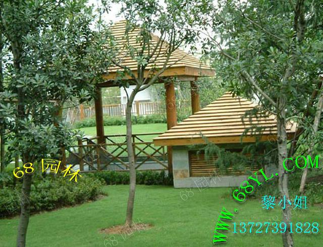 供應(yīng)庭院別墅花架涼亭 鳥語(yǔ)花香山清水秀建造美化家園