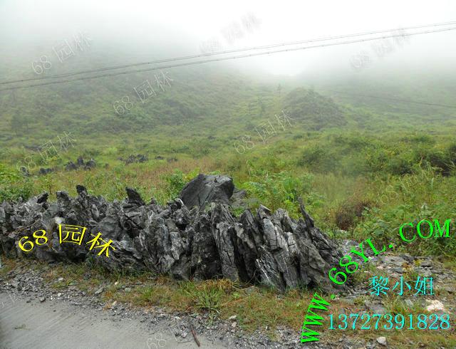 供應(yīng)英石真石頭裝飾假山魚池 盆景噴泉景觀