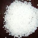 那里日本東麗圖片