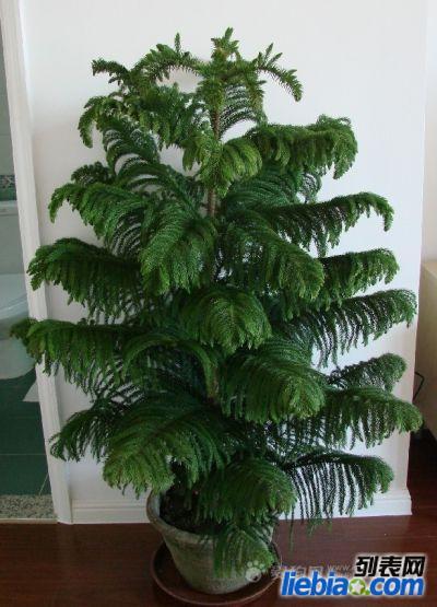 北京朝陽區(qū)圖片/北京朝陽區(qū)樣板圖 (4)