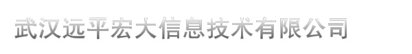 武汉远平宏大信息技术有限公司