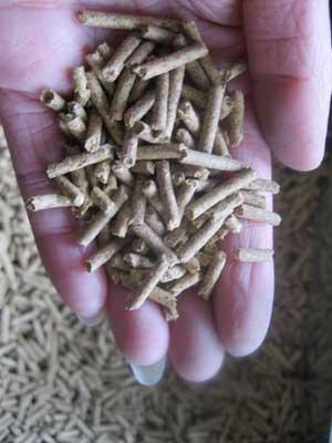 供應(yīng)飼料加工機組兔子飼料機組簡易飼料機組飼料顆粒機組