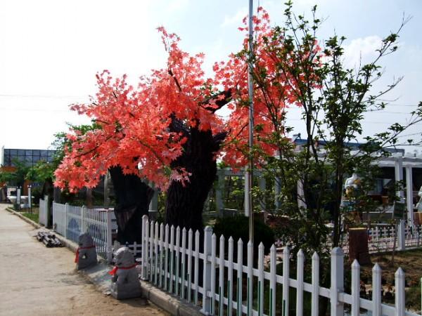 沭阳县隆发园林苗圃场