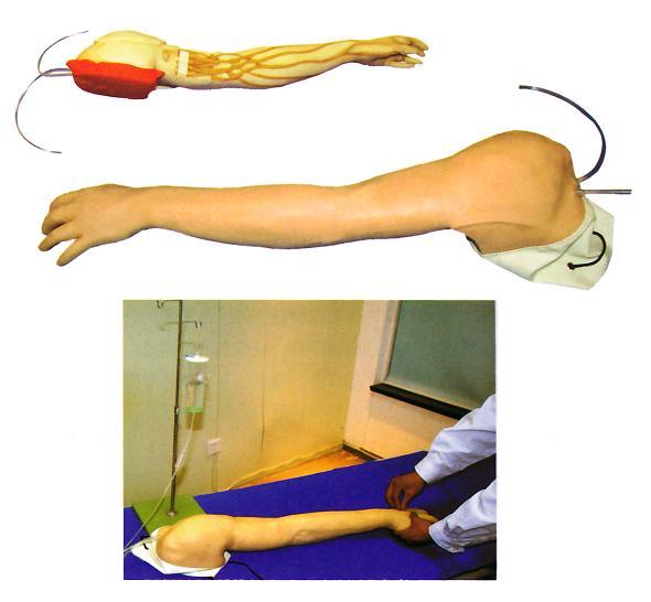 输液手臂模型图片