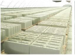 供應(yīng)水泥磚養(yǎng)護(hù)大棚