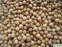 供應白胡椒粉青島美辰食品公司專業(yè)供應白胡椒粉