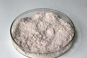 茶多酚脂溶性EGCG90粉圖片