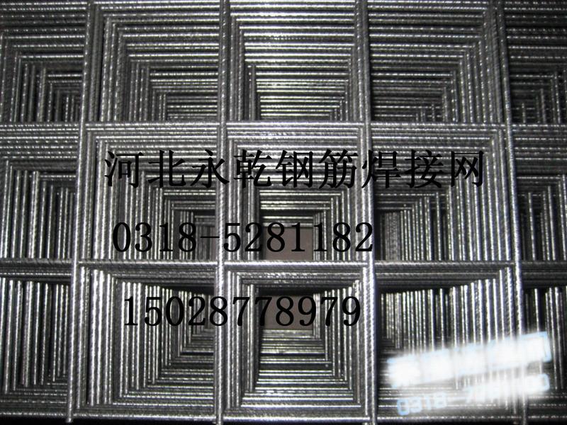 鋼筋網(wǎng)片圖片/鋼筋網(wǎng)片樣板圖 (2)