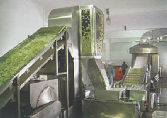 供應(yīng)蘋果哈密瓜脫水機(jī)