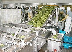 品蔬菜圖片/品蔬菜樣板圖 (4)