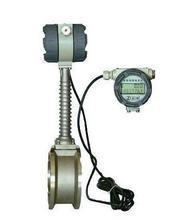 供應(yīng)廣東哪家渦街流量計好