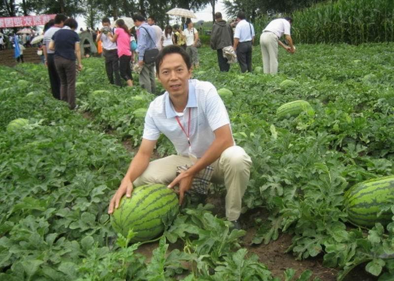 廣西西瓜圖片