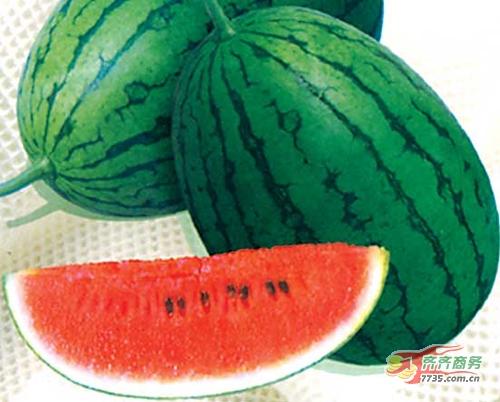 供應(yīng)湖北省西瓜行情西瓜產(chǎn)地