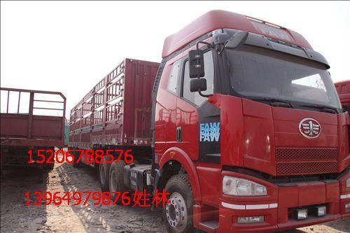 解放J6雙驅(qū)半掛車圖片/解放J6雙驅(qū)半掛車樣板圖 (4)