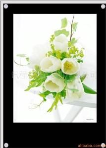 河南分類(lèi)信息發(fā)布系統(tǒng)批發(fā)/鄭州網(wǎng)絡(luò)信息發(fā)布系統(tǒng)廠家銷(xiāo)售