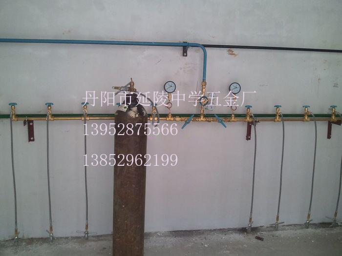 供應(yīng)電廠氮?dú)鈪R流排