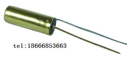 供應(yīng)臺(tái)灣珠子開關(guān)也叫滾珠開關(guān)