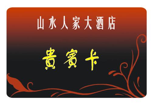 供應(yīng)長(zhǎng)沙貴賓卡制作，磁條卡制作 會(huì)員卡制作 人像卡制作