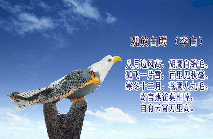 電動飛鷹、電動*夏季火爆銷售中，我們廠的電動*玩具質(zhì)量有保證