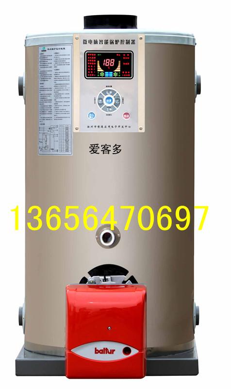 供應(yīng)東營燃氣鍋爐軟水機