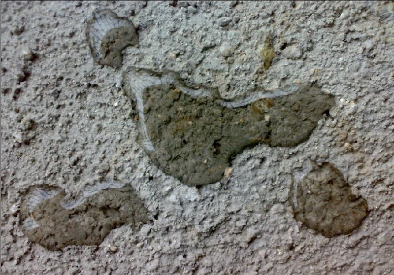 供應(yīng)建筑水泥砂漿抗裂防水劑