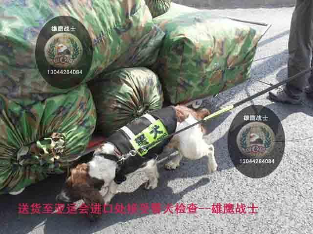 供應(yīng)防衛(wèi)星航拍偽裝網(wǎng)