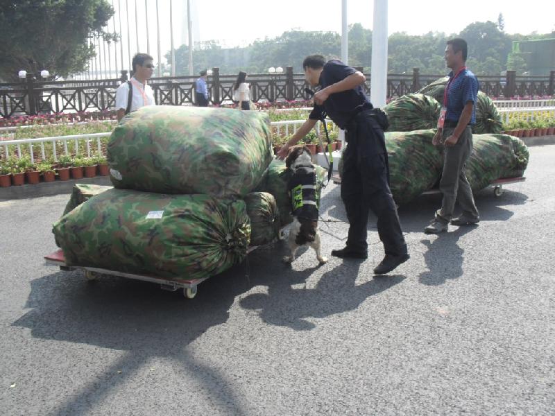 供應(yīng)偽裝廠房建筑迷彩網(wǎng)