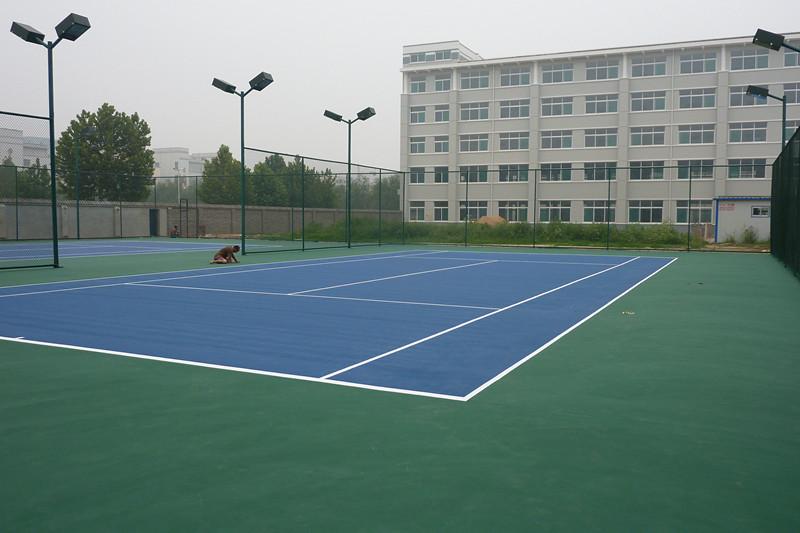 供應(yīng)天津網(wǎng)球場(chǎng)建設(shè)公司？