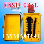 供应厂用扩音电话KNSP-08-L 抗噪扩音电话 声光抗噪扩音电话 