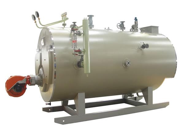 供應(yīng)專業(yè)生產(chǎn)數(shù)控鍋爐