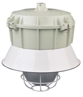 BFD防爆防腐燈圖片