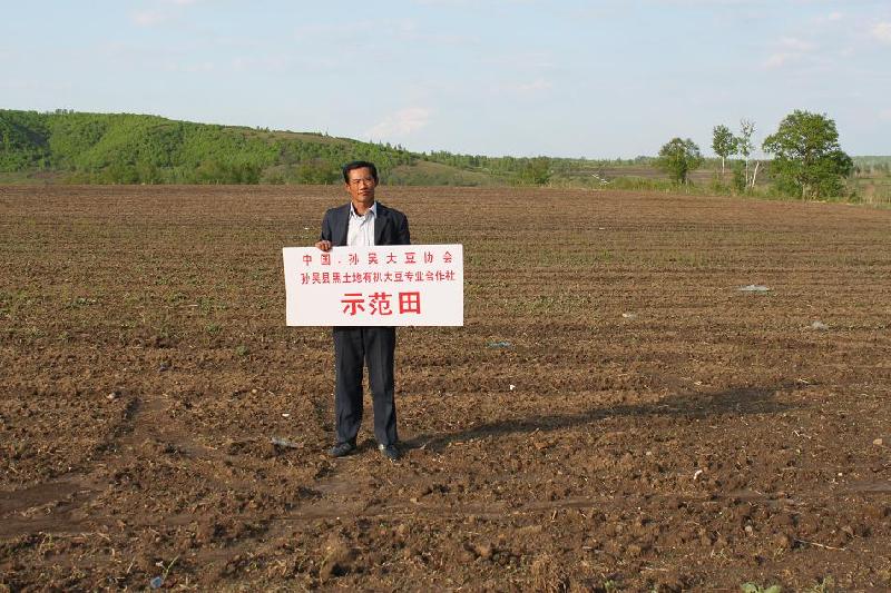 供应黑小麦仁基地图片