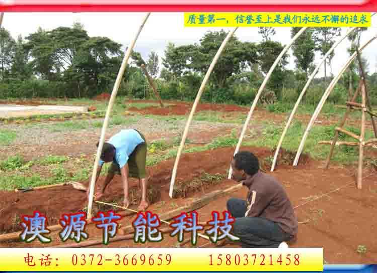 供應(yīng)安陽澳源新型蔬菜大棚