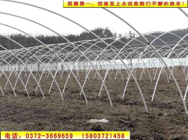 供應(yīng)安陽大棚