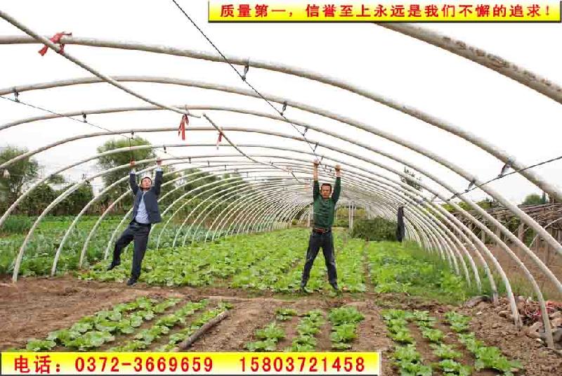 供應(yīng)溫室大棚中的*