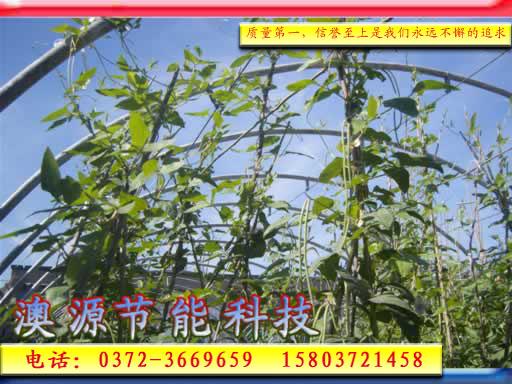 供應(yīng)蔬菜大棚所言非虛，蔬菜大棚骨架 大棚骨架機(jī)所言非虛