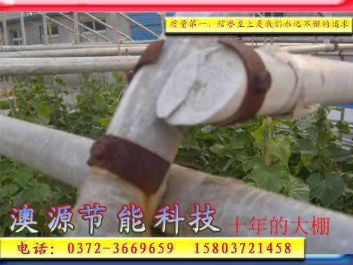 安陽市大棚圖片