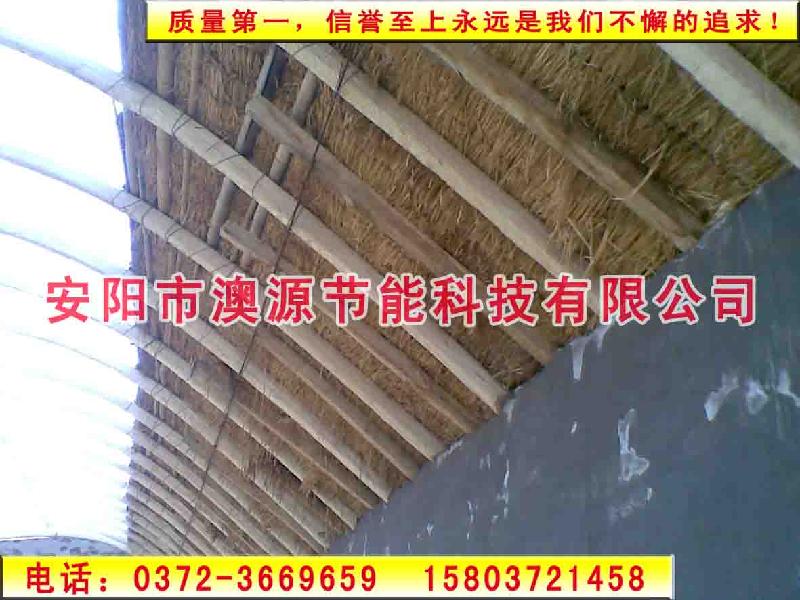 供應(yīng)好項目安陽大棚；安陽大棚好項目；安陽 大棚