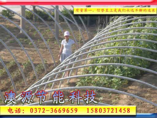 大棚養(yǎng)殖技術(shù)澳源節(jié)能圖片