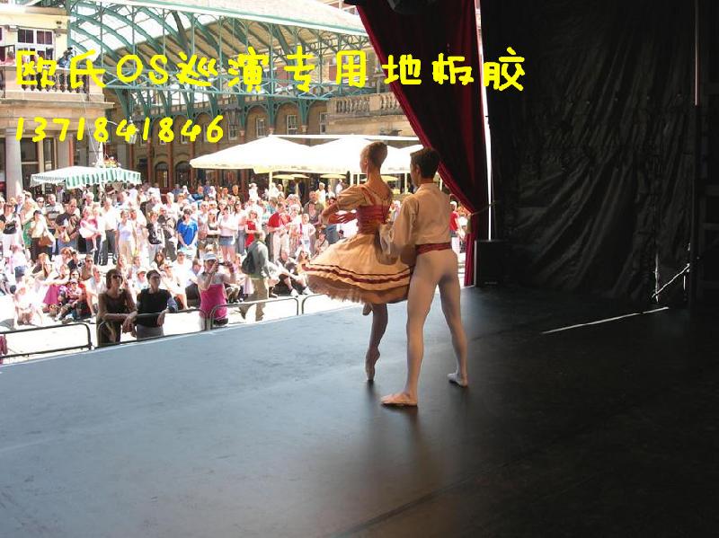 供應(yīng)進(jìn)口芭蕾舞*地板