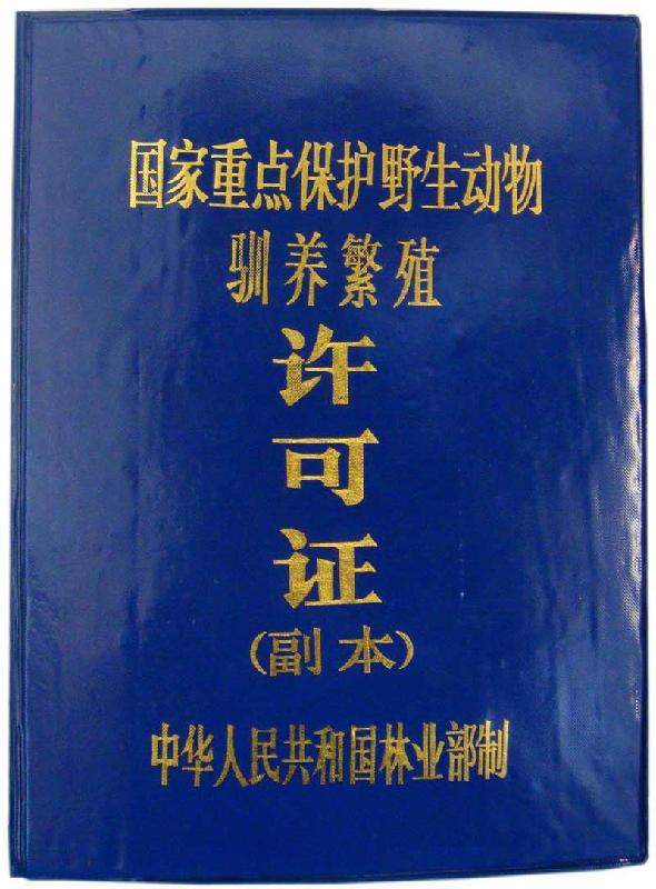 供應貴州山雞小苗養(yǎng)殖