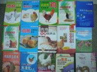 供應(yīng)山雞養(yǎng)殖唐先生15885512836