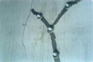 封縫膠廠家圖片/封縫膠廠家樣板圖 (2)