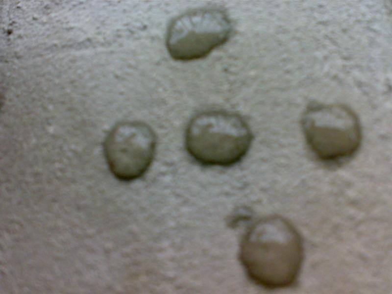 供應(yīng)哪里有高強(qiáng)界面劑賣